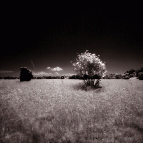 The Boy That Got Away : Onward